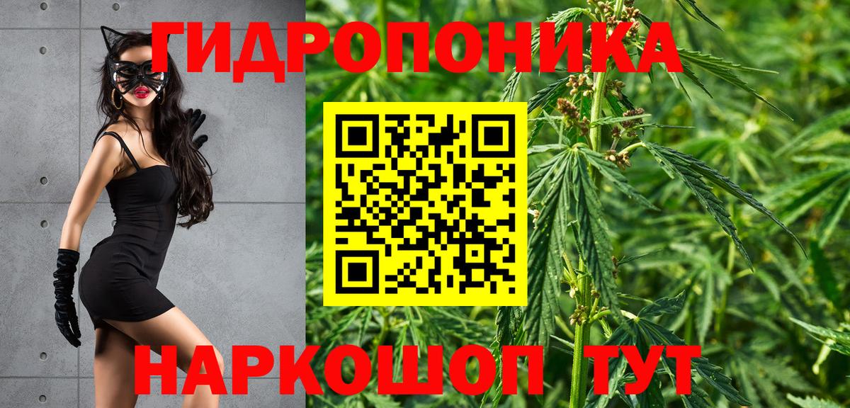 Марихуана OG Kush  Бошки Шишки White Widow  Марихуана Amnesia  Вход с VPN  Карачаевск 